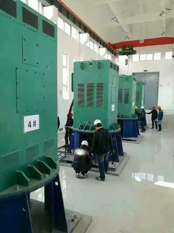 环江某污水处理厂使用我厂的立式高压电机安装现场